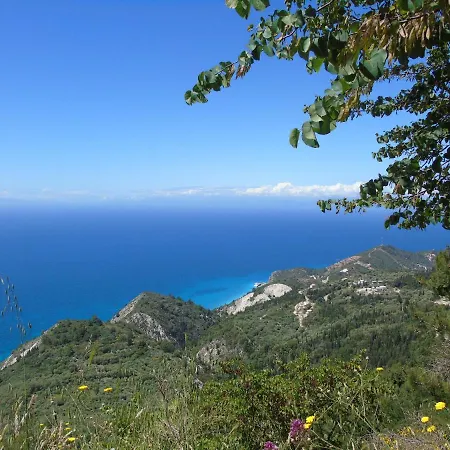 Panoramic View